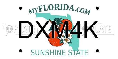 DXM4K Florida License Plate