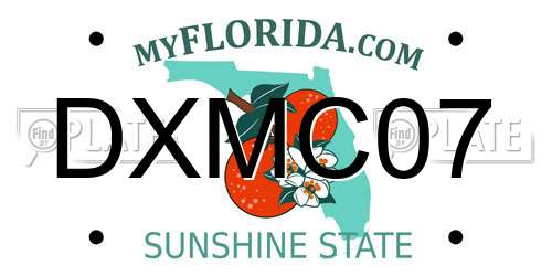 DXMC07 Florida License Plate