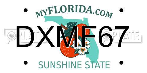 DXMF67 Florida License Plate