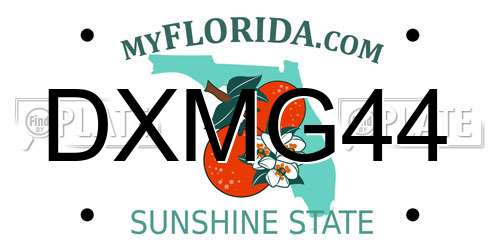 DXMG44 Florida License Plate