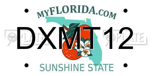 DXMT12 Florida License Plate