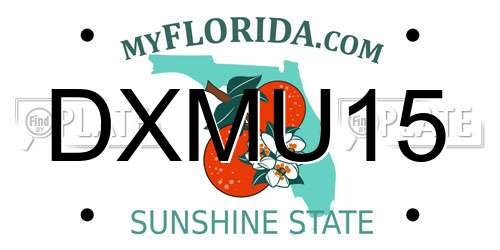 DXMU15 Florida License Plate