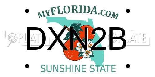 DXN2B Florida License Plate
