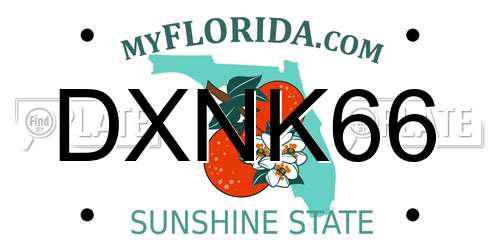 DXNK66 Florida License Plate