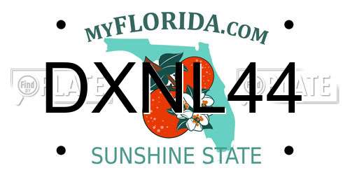 DXNL44 Florida License Plate