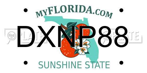 DXNP88 Florida License Plate