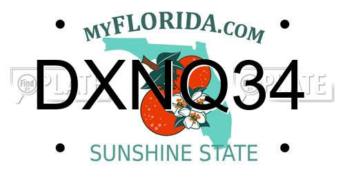 DXNQ34 Florida License Plate