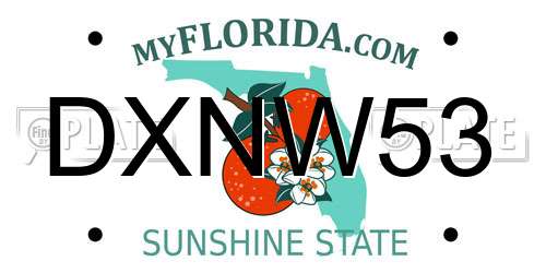 DXNW53 Florida License Plate