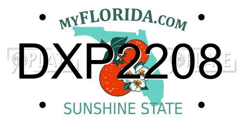 DXP2208 Florida License Plate