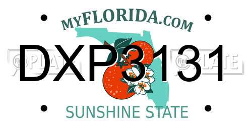 DXP3131 Florida License Plate