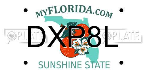 DXP8L Florida License Plate