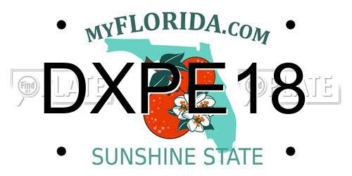 DXPE18 Florida License Plate