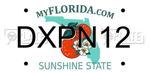 DXPN12 Florida License Plate