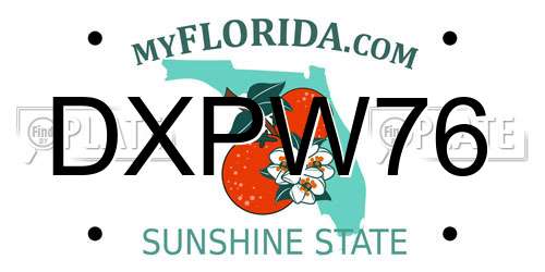 DXPW76 Florida License Plate