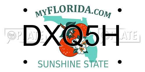 DXQ5H Florida License Plate