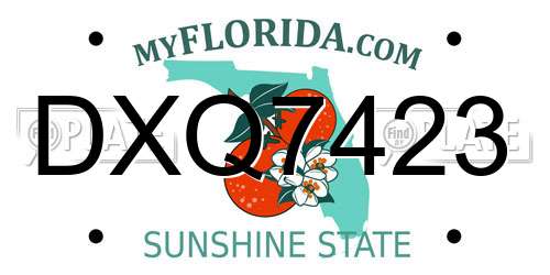 DXQ7423 Florida License Plate
