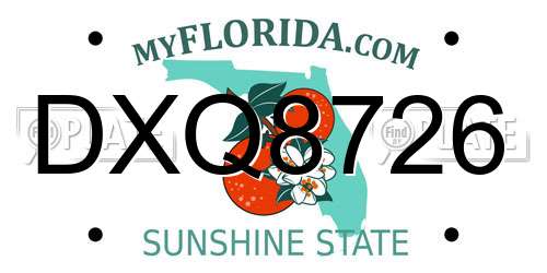 DXQ8726 Florida License Plate