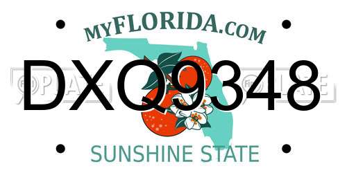 DXQ9348 Florida License Plate