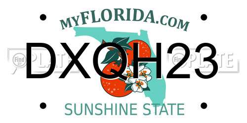 DXQH23 Florida License Plate