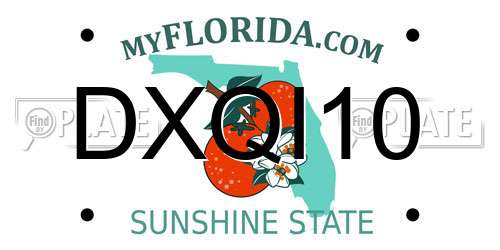 DXQI10 Florida License Plate