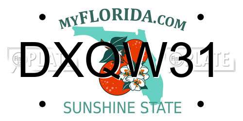 DXQW31 Florida License Plate