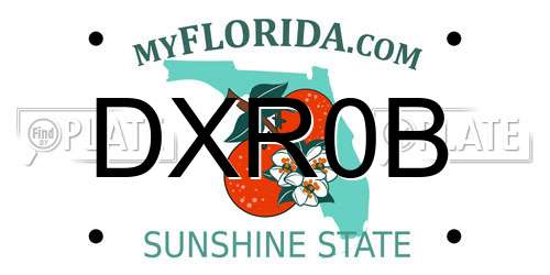 DXR0B Florida License Plate