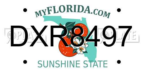 DXR8497 Florida License Plate