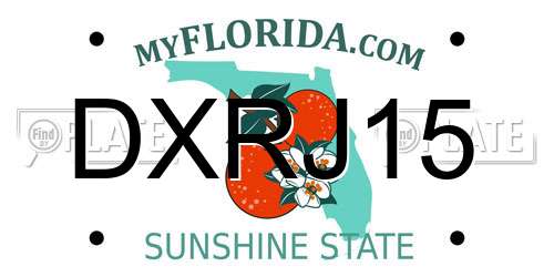 DXRJ15 Florida License Plate