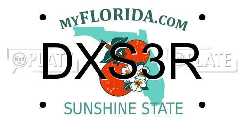 DXS3R Florida License Plate