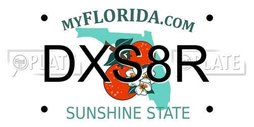 DXS8R Florida License Plate