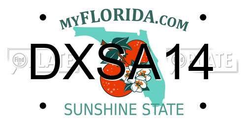 DXSA14 Florida License Plate