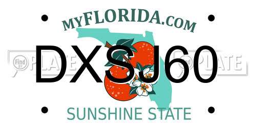 DXSJ60 Florida License Plate