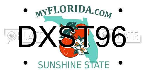 DXST96 Florida License Plate