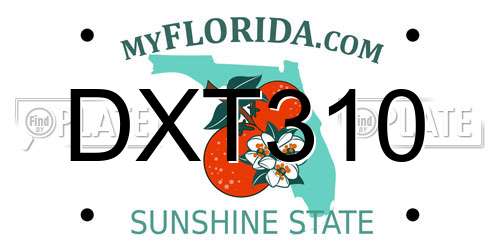 DXT310 Florida License Plate