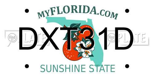 DXT31D Florida License Plate