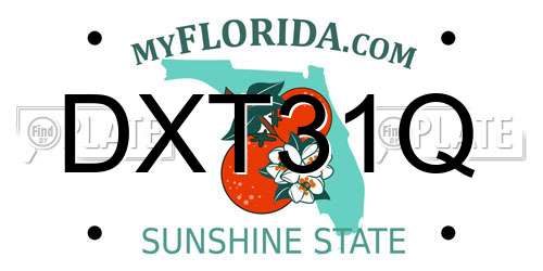 DXT31Q Florida License Plate