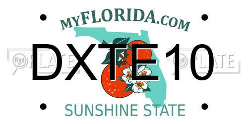 DXTE10 Florida License Plate