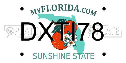 DXTI78 Florida License Plate