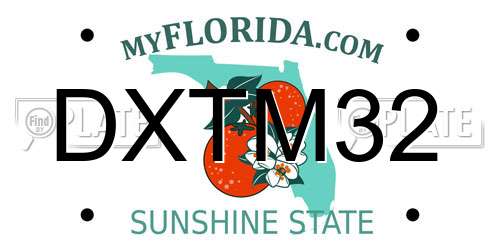 DXTM32 Florida License Plate