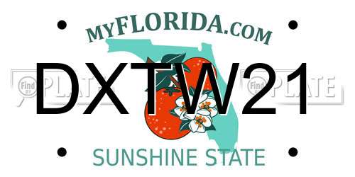 DXTW21 Florida License Plate