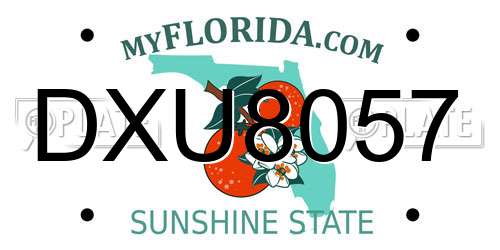 DXU8057 Florida License Plate