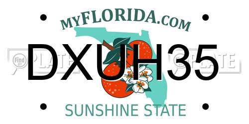 DXUH35 Florida License Plate