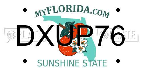 DXUP76 Florida License Plate