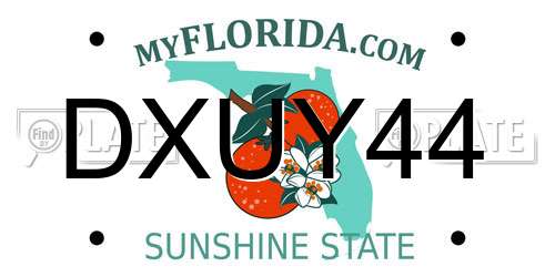 DXUY44 Florida License Plate