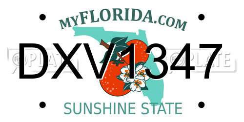DXV1347 Florida License Plate