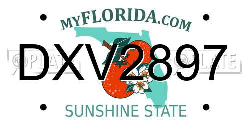 DXV2897 Florida License Plate