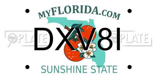 DXV8I Florida License Plate