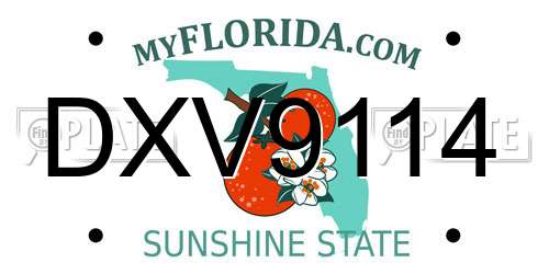 DXV9114 Florida License Plate