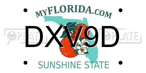 DXV9D Florida License Plate