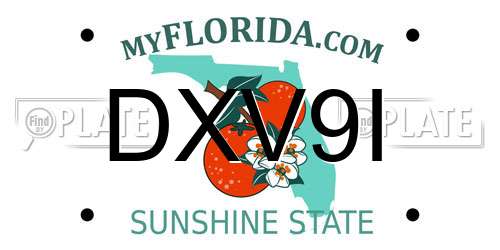 DXV9I Florida License Plate